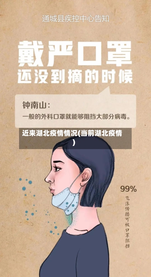 近来湖北疫情情况(当前湖北疫情)-第3张图片