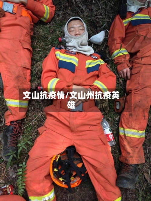 文山抗疫情/文山州抗疫英雄