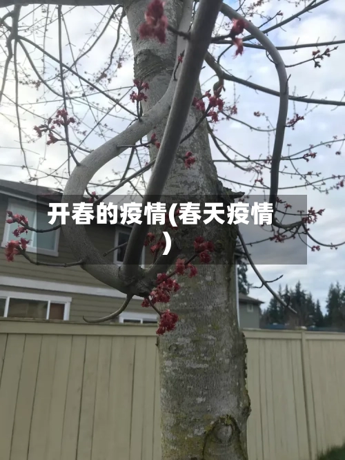 开春的疫情(春天疫情)-第3张图片