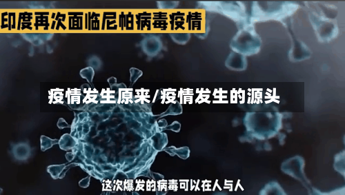 疫情发生原来/疫情发生的源头-第2张图片