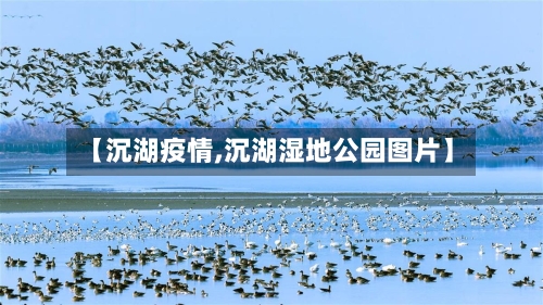 【沉湖疫情,沉湖湿地公园图片】-第3张图片