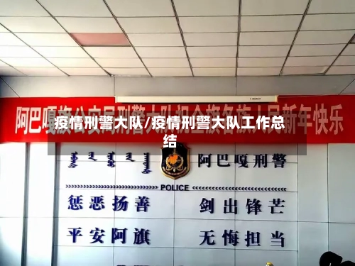 疫情刑警大队/疫情刑警大队工作总结-第3张图片