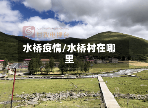 水桥疫情/水桥村在哪里-第3张图片