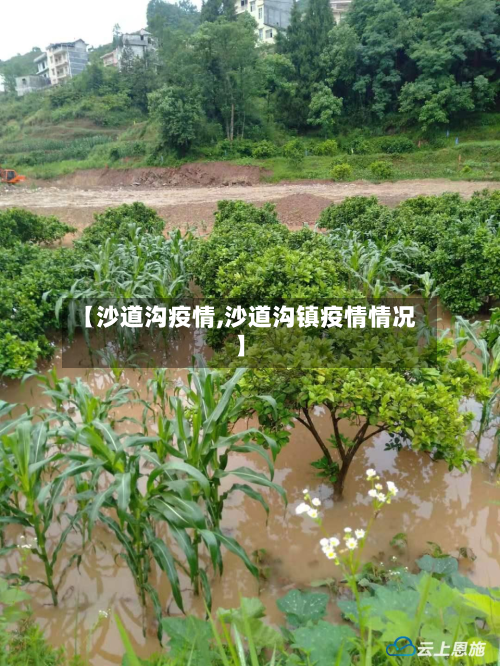 【沙道沟疫情,沙道沟镇疫情情况】-第3张图片