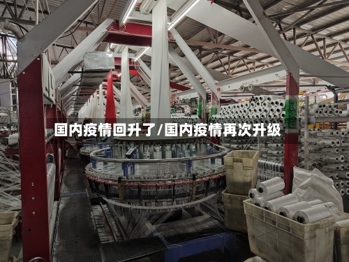 国内疫情回升了/国内疫情再次升级