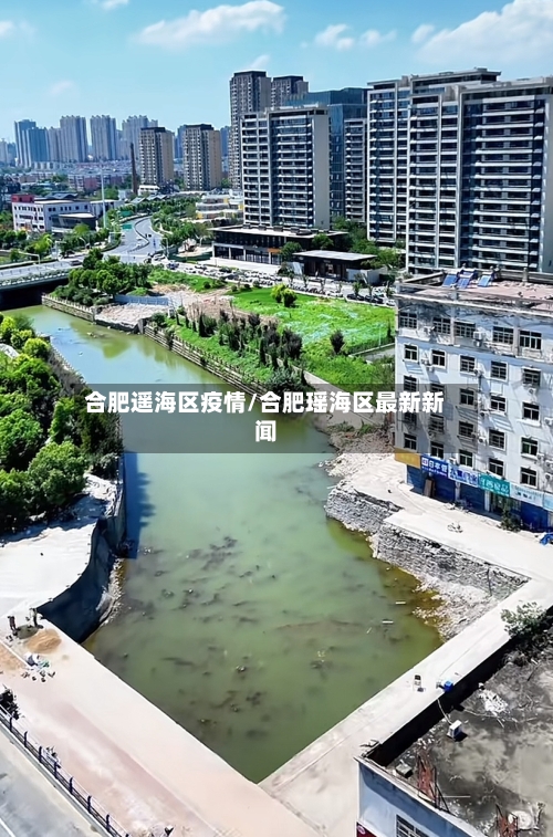 合肥遥海区疫情/合肥瑶海区最新新闻-第3张图片