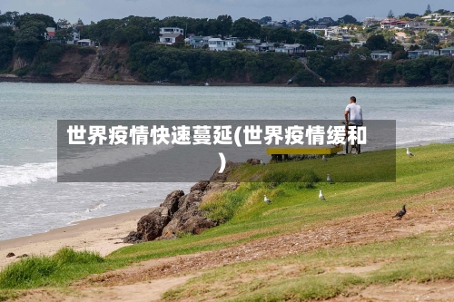 世界疫情快速蔓延(世界疫情缓和)-第2张图片