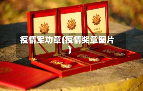 疫情军功章(疫情奖章图片)-第3张图片