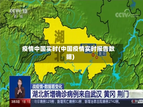 疫情中国实时(中国疫情实时报告数据)