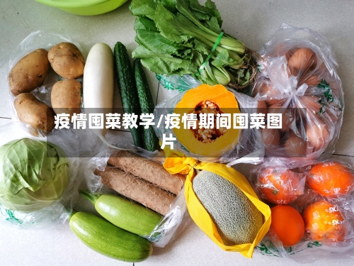 疫情囤菜教学/疫情期间囤菜图片-第2张图片