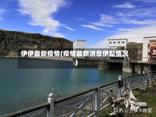 伊伊最新疫情(疫情最新消息伊犁情况)-第2张图片