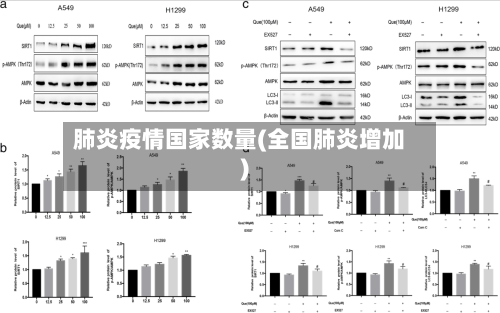 肺炎疫情国家数量(全国肺炎增加)-第3张图片