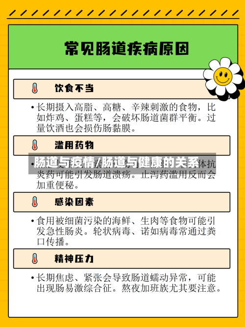 肠道与疫情/肠道与健康的关系