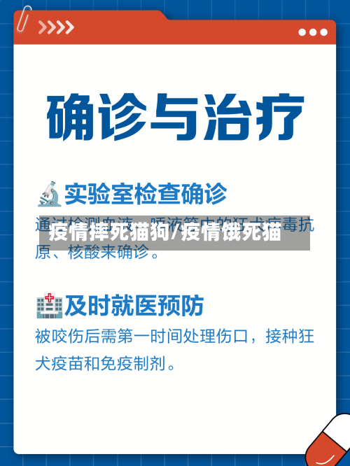 疫情摔死猫狗/疫情饿死猫-第2张图片