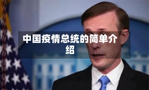 中国疫情总统的简单介绍