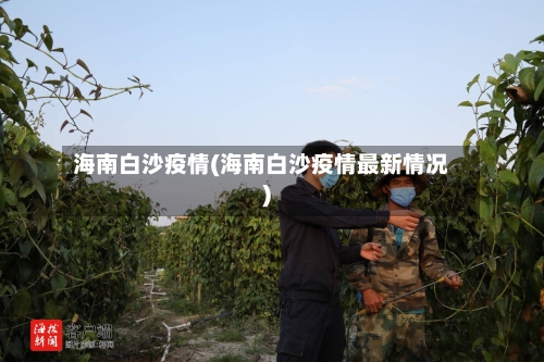 海南白沙疫情(海南白沙疫情最新情况)