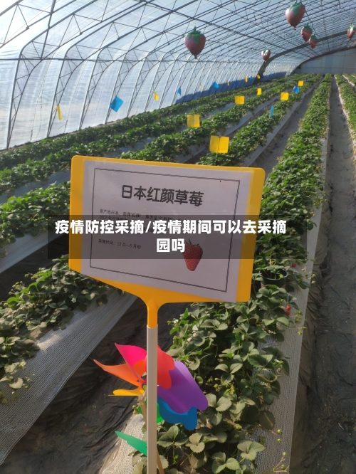 疫情防控采摘/疫情期间可以去采摘园吗-第2张图片