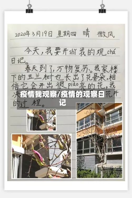 疫情我观察/疫情的观察日记