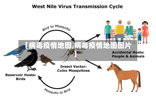 【病毒疫情地图,病毒疫情地图图片】-第3张图片