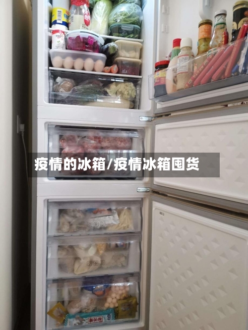 疫情的冰箱/疫情冰箱囤货-第2张图片