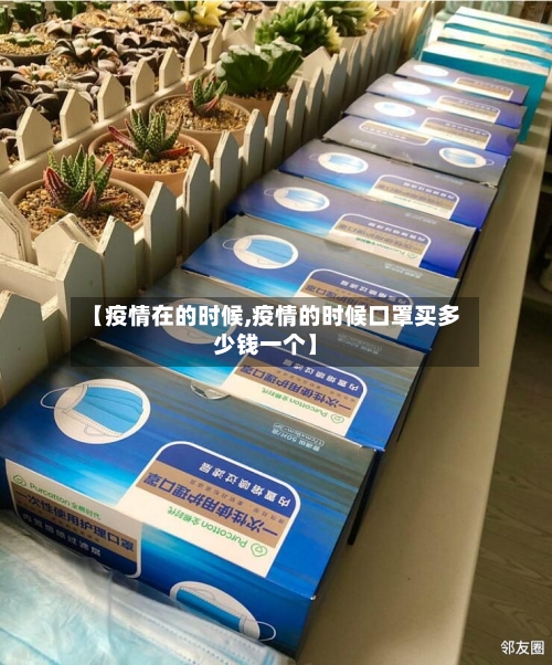 【疫情在的时候,疫情的时候口罩买多少钱一个】-第3张图片
