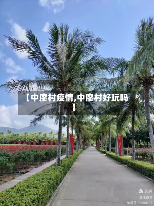 【中廖村疫情,中廖村好玩吗】-第3张图片