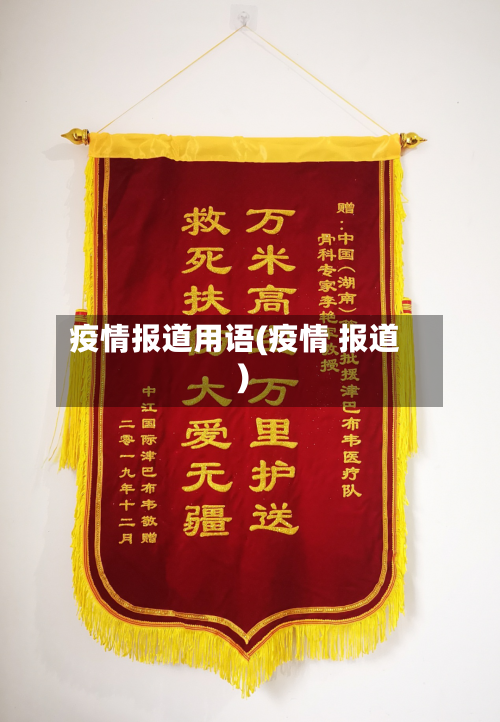 疫情报道用语(疫情 报道)