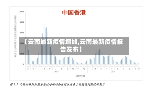 【云南最新疫情增加,云南最新疫情报告发布】-第2张图片