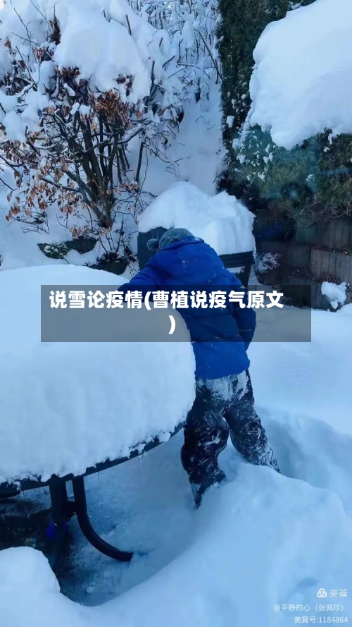 说雪论疫情(曹植说疫气原文)-第3张图片
