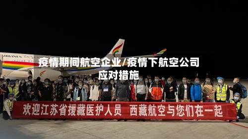 疫情期间航空企业/疫情下航空公司应对措施-第3张图片