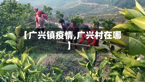 【广兴镇疫情,广兴村在哪】-第2张图片