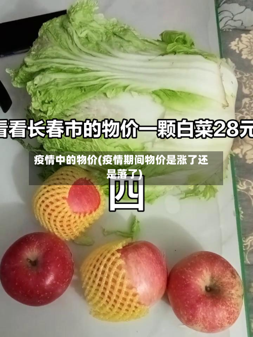 疫情中的物价(疫情期间物价是涨了还是落了)-第3张图片