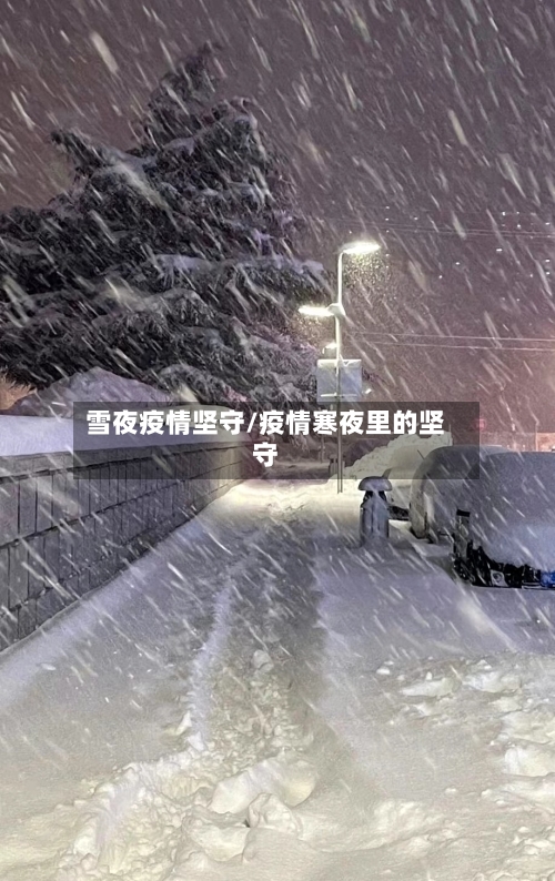 雪夜疫情坚守/疫情寒夜里的坚守