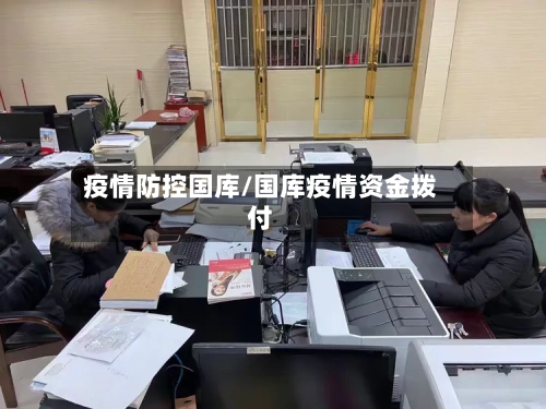 疫情防控国库/国库疫情资金拨付