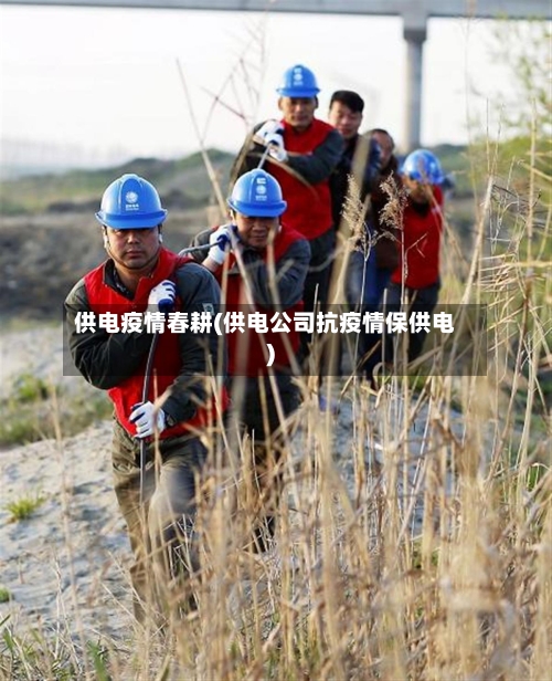 供电疫情春耕(供电公司抗疫情保供电)