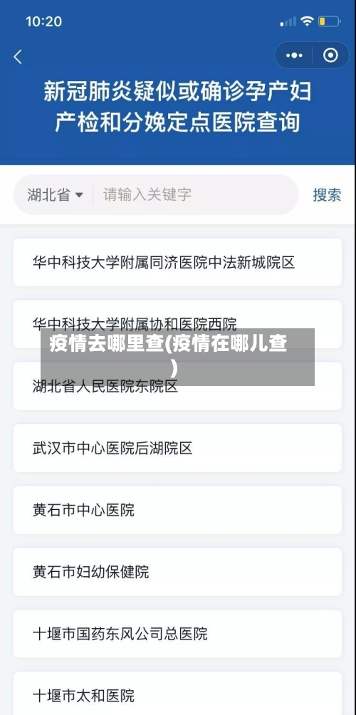 疫情去哪里查(疫情在哪儿查)-第2张图片
