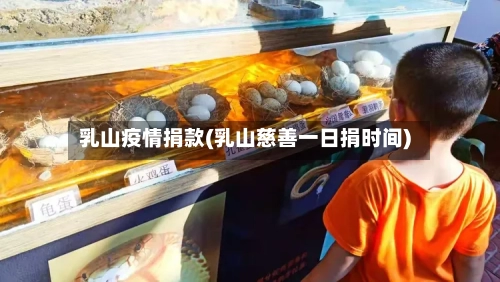 乳山疫情捐款(乳山慈善一日捐时间)-第2张图片