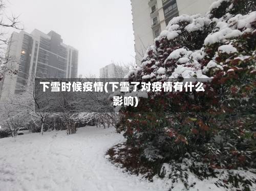 下雪时候疫情(下雪了对疫情有什么影响)-第3张图片