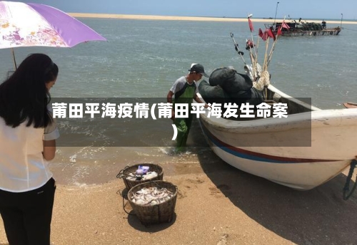 莆田平海疫情(莆田平海发生命案)-第2张图片