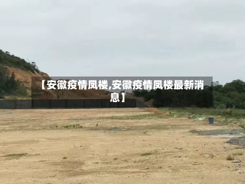 【安徽疫情凤楼,安徽疫情凤楼最新消息】