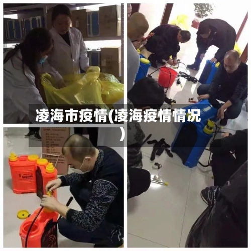 凌海市疫情(凌海疫情情况)-第2张图片