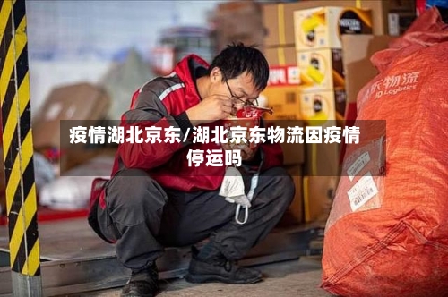 疫情湖北京东/湖北京东物流因疫情停运吗-第3张图片