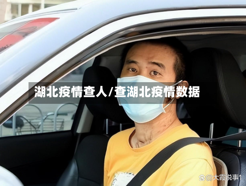 湖北疫情查人/查湖北疫情数据-第2张图片