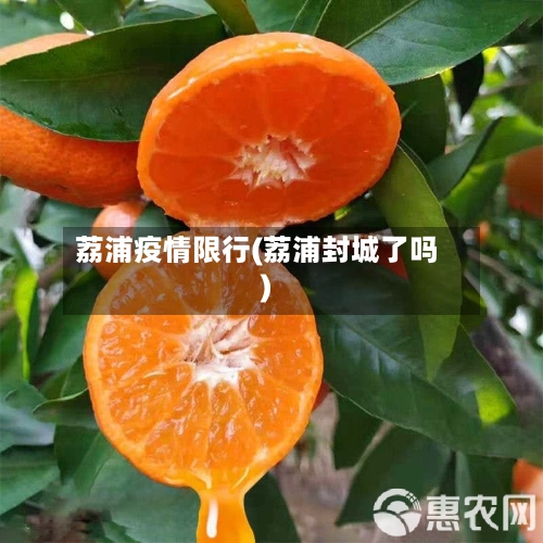 荔浦疫情限行(荔浦封城了吗)-第2张图片