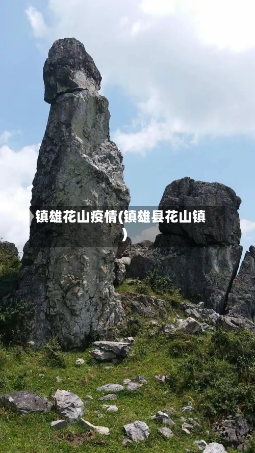 镇雄花山疫情(镇雄县花山镇)