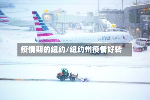 疫情期的纽约/纽约州疫情好转