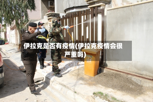 伊拉克是否有疫情(伊拉克疫情会很严重吗)