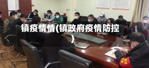 镇疫情情(镇政府疫情防控)