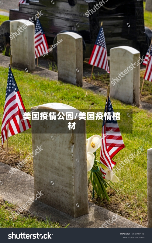 美国疫情公园/美国疫情棺材-第2张图片