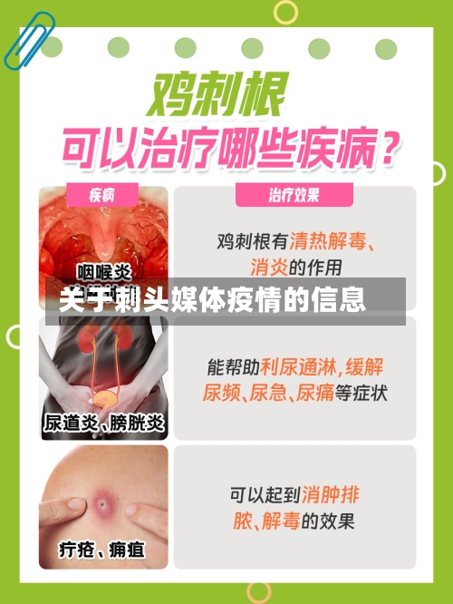 关于刺头媒体疫情的信息-第2张图片